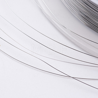 Steel Wire TWIR-E001-0.1mm-1