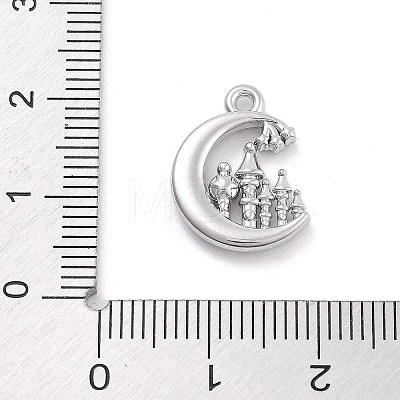 Alloy Pendants FIND-M078-01D-P-1