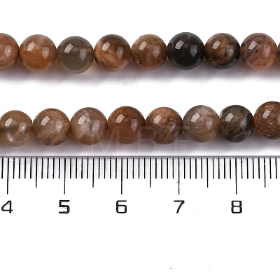 Natural Black Moonstone Beads Strands G-A219-A01-02-1