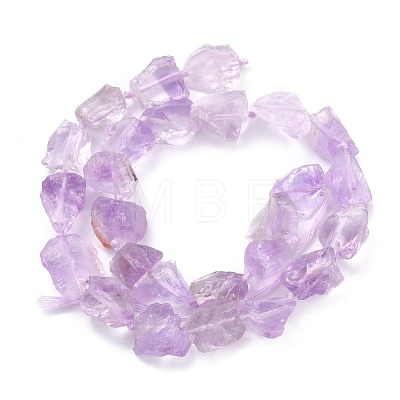 Rough Raw Natural Amethyst Beads Strands G-C069-01-1
