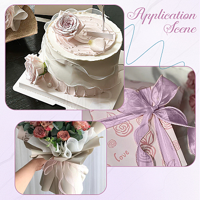 1Bag Organza Ribbon ORIB-CY0001-04B-1