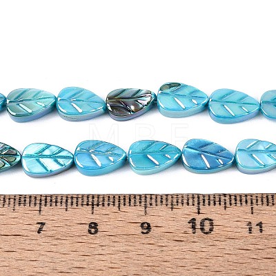 Natural Freshwater Shell Carved Beads Strands SHEL-N038-25B-1