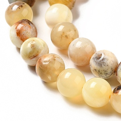 Natural Yellow Opal Beads Strands G-G992-A02-B-1