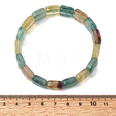 Natural Fluorite Beaded Stretch Bracelets for Women Men BJEW-D461-02C-1