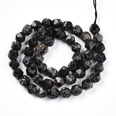 Dyed Natural Sesame Jasper Beads Strands G-T139-8mm-47B-1