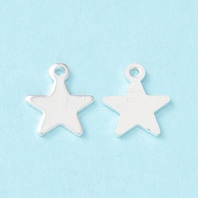 304 Stainless Steel Charms X-STAS-L234-069S-1