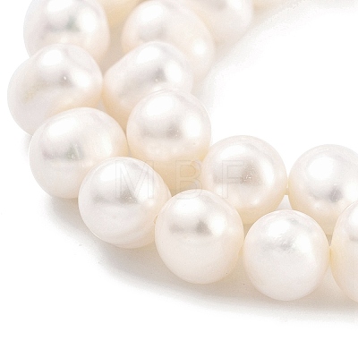 Natural Cultured Freshwater Pearl Beads Strands PEAR-C003-16C-1