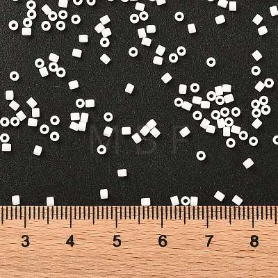 Cylinder Seed Beads SEED-H001-C19-1