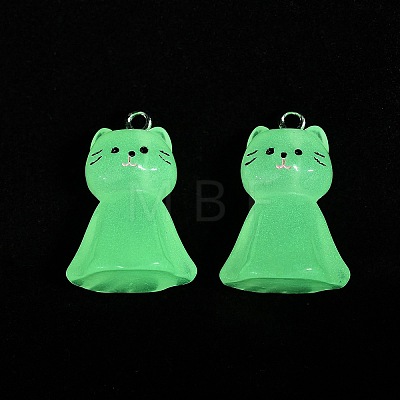 Luminous Resin Pendants RESI-R460-01A-1