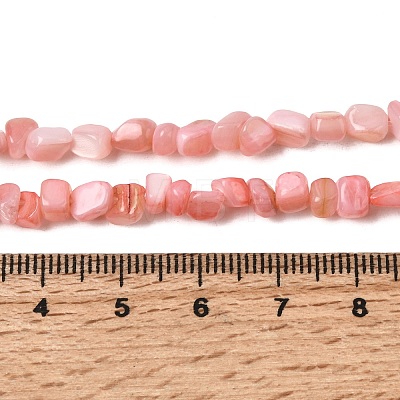 Natural Freshwater Shell Beads Strands SHEL-A006-07-1