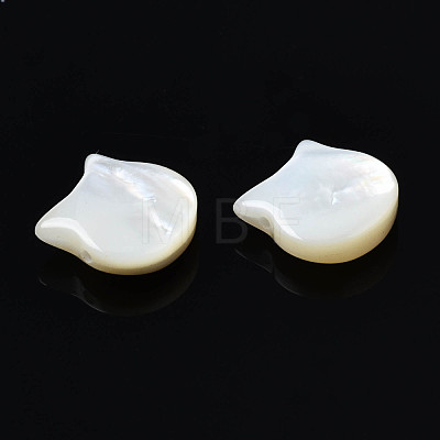 Natural White Shell Beads SSHEL-S258-99B-1