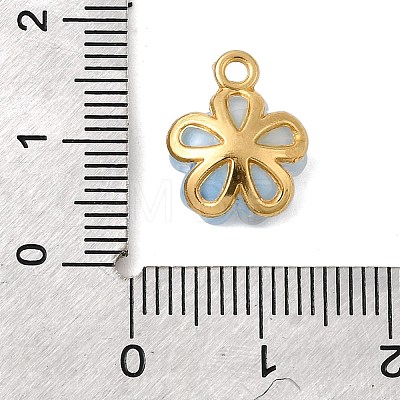 Alloy Glass Charms FIND-C079-05G-04-1