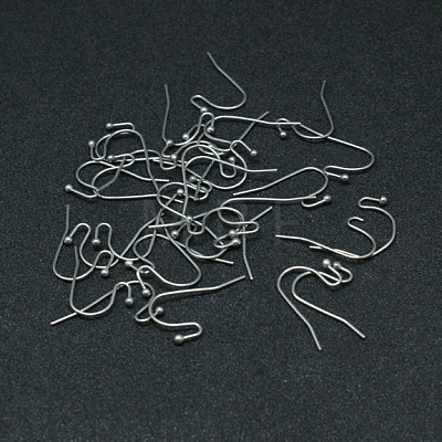 Tarnish Resistant 304 Stainless Steel Earring Hooks STAS-G140-73P-1