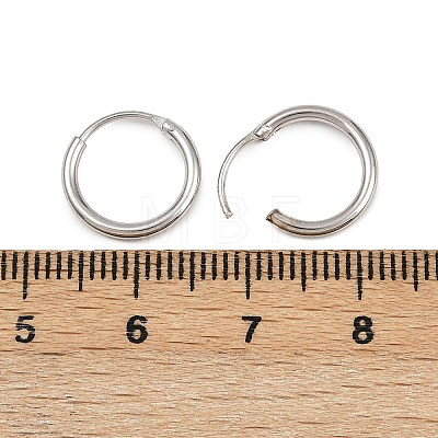 925 Sterling Silver Hoop Earrings STER-B008-01A-P-1