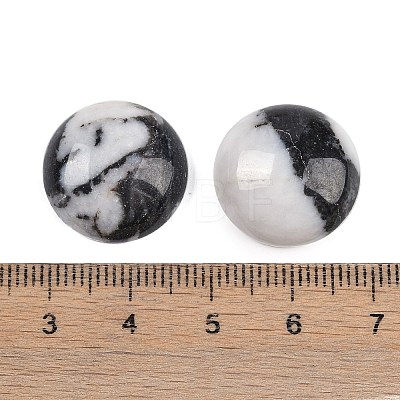 Natural Zebra Jasper Cabochons G-T020-18mm-29-1