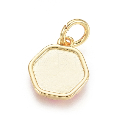 Golden Plated Brass Charms ENAM-L028-001-1