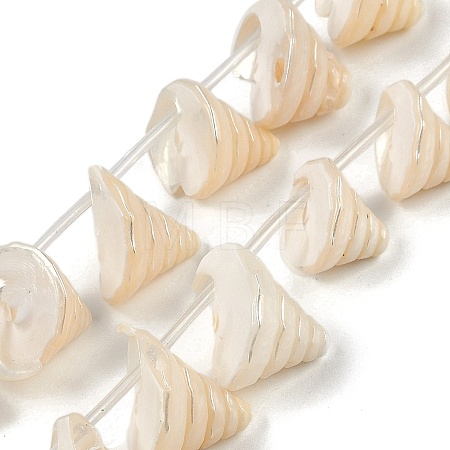 Natural Shell Beads Strands SHEL-K009-11-1