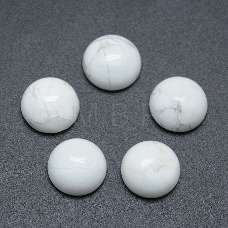 Natural Howlite Cabochons G-P393-R32-10mm-1