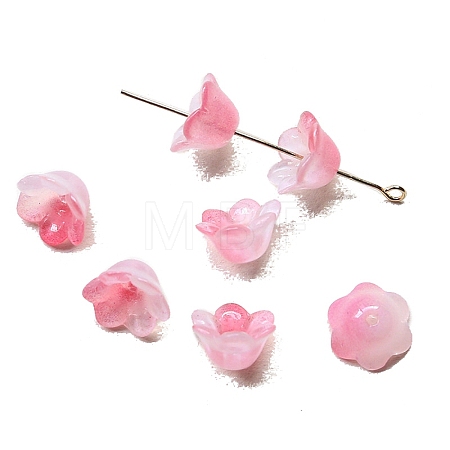 Handmade Lampwork Beads Cap PW-WG44676-02-1