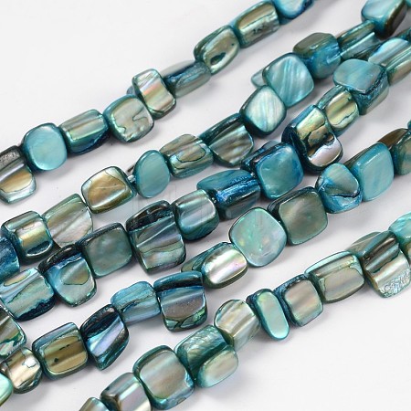 Shell Beads Strands PBB051Y-1