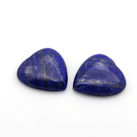 Natural Gemstone Cabochons X-G-P021-05-1