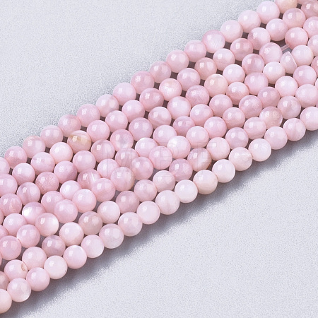 Natural Freshwater Shell Beads Strands X-BSHE-T009-01D-1