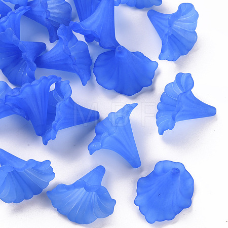 Transparent Acrylic Beads BSF796-C05-1