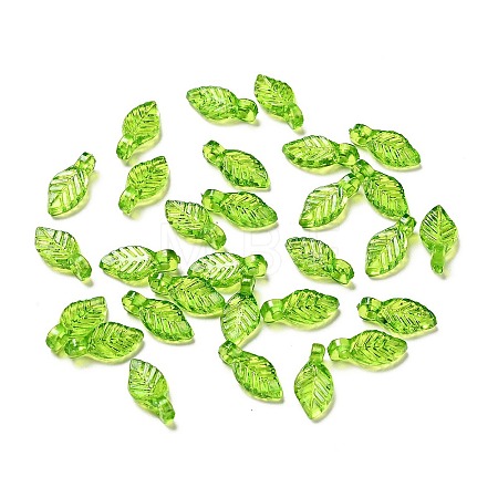 Transparent Acrylic Charms X-MACR-C009-12-1