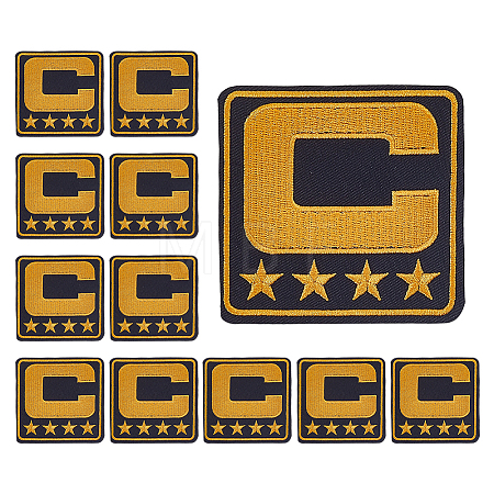 Computerized Embroidery Cloth Iron on/Sew on Patches LS-PATC-WH0006-91C-1