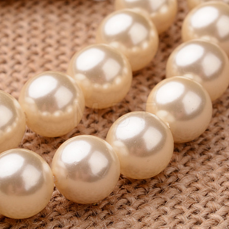 Polished Round Grade A Shell Pearl Bead Strands BSHE-M027-12mm-24-1
