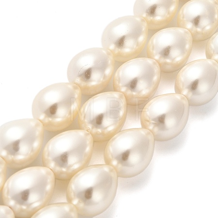 Electroplate Shell Pearl Beads Strands BSHE-G010-14x18mm-01-1
