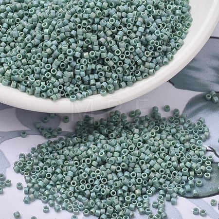 MIYUKI Delica Beads X-SEED-J020-DB2313-1