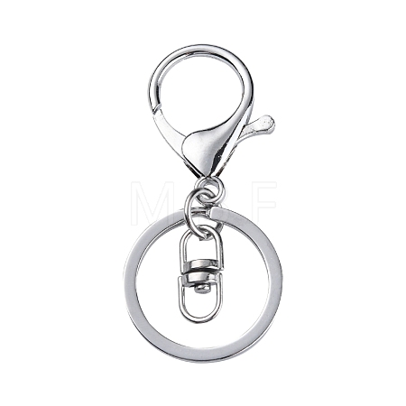 Iron Alloy Lobster Claw Clasp Keychain KEYC-D016-P-1