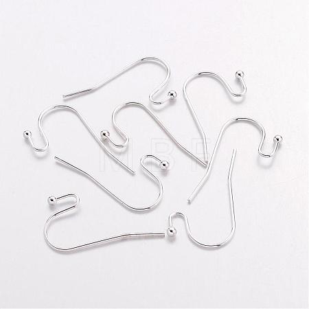 Brass Earring Hooks J0JQN-S-1