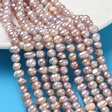 Natural Cultured Freshwater Pearl Beads Strands PA-CBAC463-12-1