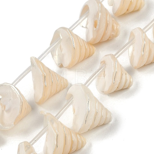 Natural Shell Beads Strands SHEL-K009-11-1