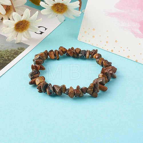 Natural Tiger Eye Chip Beads Stretch Bracelets for Children BJEW-JB06388-02-1