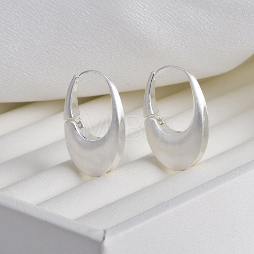 Oval Brass Hoop Earrings for Women EJEW-G391-09S-1