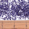 MIYUKI Delica Beads X-SEED-J020-DB0609-4