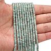 Natural Amazonite Beads Strands X-G-L635-A35-4x2mm-2