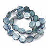 Freshwater Shell Beads Strands X-SHEL-N020-2-02B-2