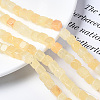 Dyed Natural White Jade Beads Strands G-S364-083A-06-4