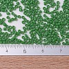 MIYUKI Delica Beads SEED-MY11-DB0724-4