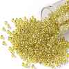 TOHO Round Seed Beads SEED-XTR08-2151S-1