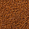 MIYUKI Delica Beads SEED-J020-DB2108-3