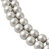 Shell Pearl Beads Strands BSHE-TA0002-03A-10mm-3