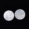 Natural White Shell Cabochons SSHEL-D083-12A-2