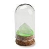 Natural Quartz Crystal Pyramid Display Decoration with Glass Dome Cloche Cover DJEW-B009-01A-1