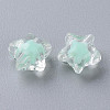 Transparent Acrylic Beads TACR-S152-01A-SS2111-2