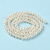 Natural Cultured Freshwater Pearl Beads Strands PEAR-E018-44-3